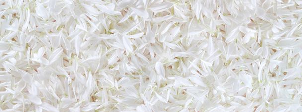 White daisy chamomile flower petals banner background - Photo, Image