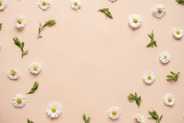 Abstract floral aesthetic background. Round floral frame wreath of colourful chamomile flower buds on neutral peachy background with blank copy space mockup. Beautiful flowers and petals template - Photo, Image