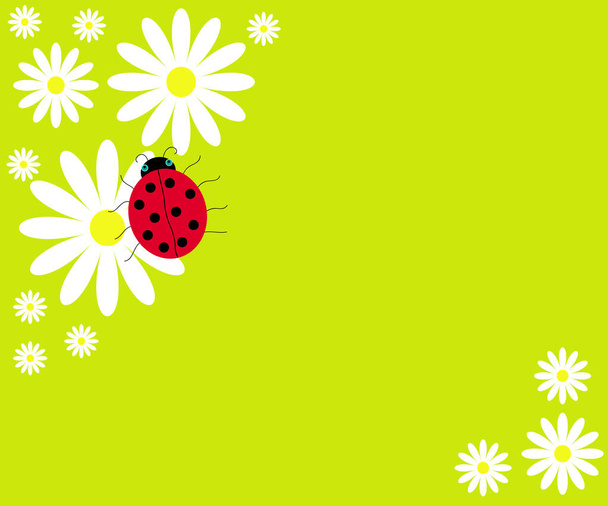 beautiful background of white daisies and ladybug - Vector, afbeelding