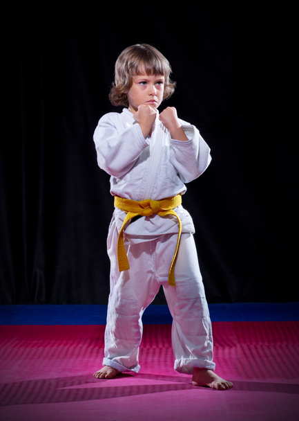 Little boy aikido fighter - 写真・画像
