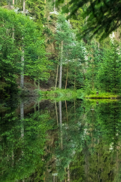 A river with the reflection of the surrounding forest - Foto, Imagem