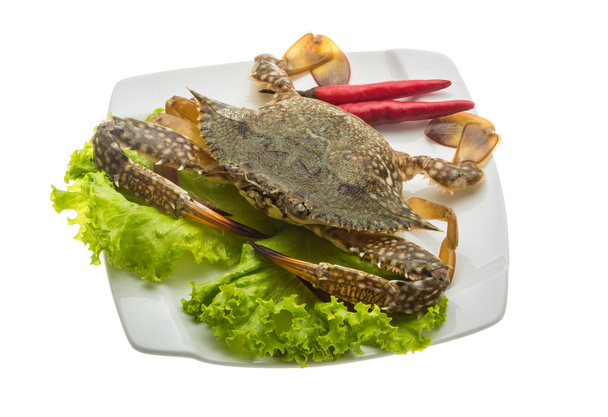 syrové krab - Fotografie, Obrázek