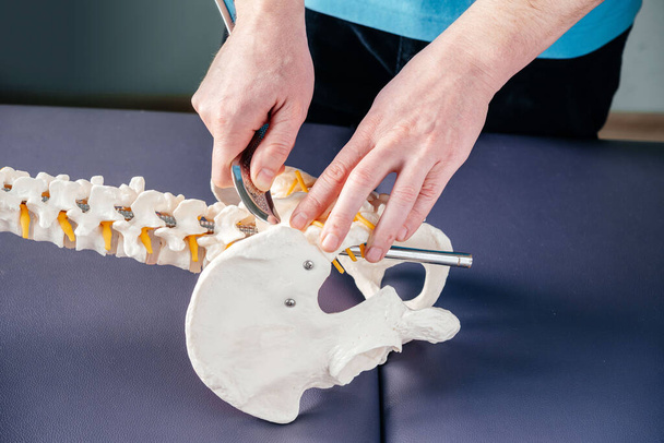 Physiothérapeute démontre comment appliquer l'outil IASTM pour traiter les douleurs articulaires sacro-iliaques sur le modèle de colonne vertébrale chiropratique flexible - Photo, image