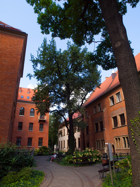 University garden in Krakow - 写真・画像