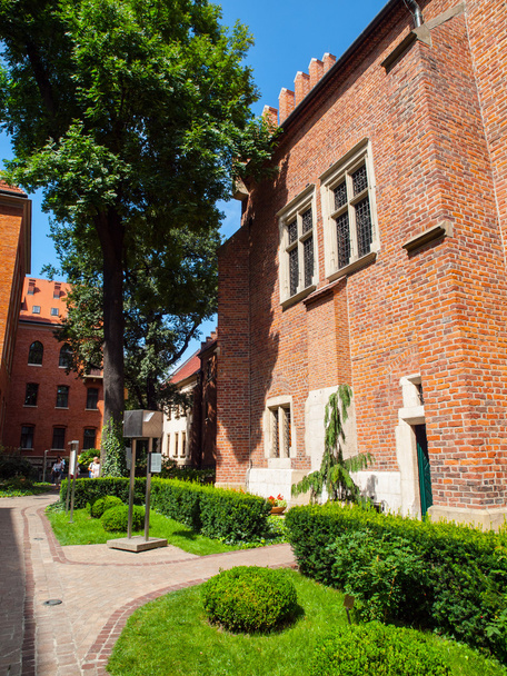 University garden in Krakow - Фото, изображение