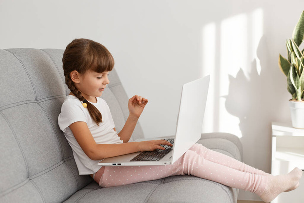 Dark haired cute adorable little girl with pigtail sitting on sofa in light living room with laptop on her knees, typing on keyboard, choosing cartoon for watching. - Zdjęcie, obraz