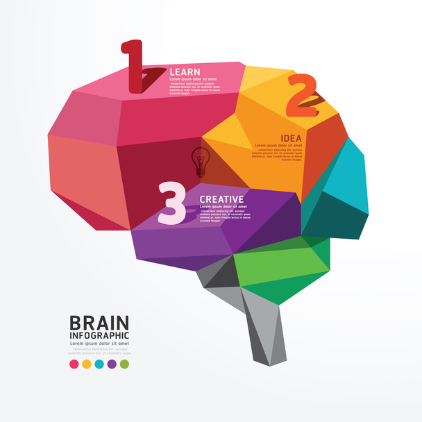 脳のインフォ グラフィック デザイン - ベクター画像