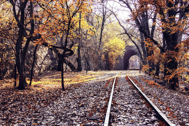 Eisenbahnzüge und Tunnel. Sonniger Herbsttag im Wald - Foto, Bild