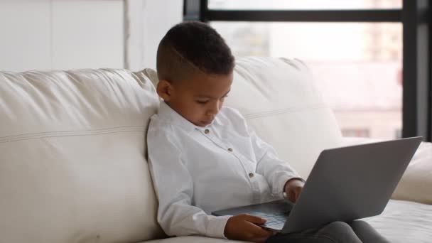 piccolo nero ragazzo utilizzando computer portatile mentre seduto su divano a casa - Filmati, video
