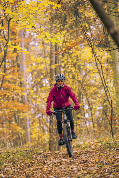 nice senior woman riding her mountainbike on the autumnal forest trails near Stuttgart, beautiful warm colors, Baden-Wuerttemberg, Germany - 写真・画像