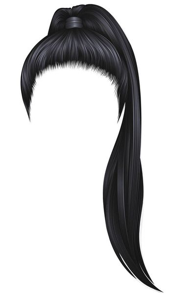 trendy women hairs brunette black colour .high ponytail . fashion beauty style . - Vector, Image