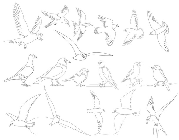 oiseaux ensemble dessin un vecteur de ligne continue, isolé - Vecteur, image