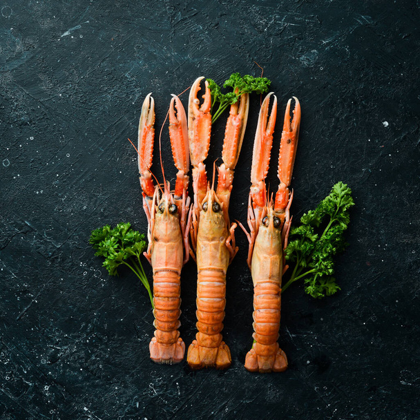 langoustines. Norway lobster on a black stone background. Raw scampi. Top view. Free copy space. - Fotografie, Obrázek