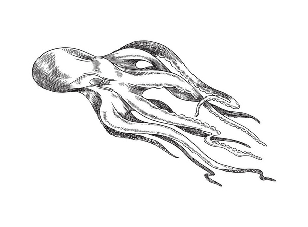 Marine octopus or devilfish swimming, engraving vector illustration isolated. - Vektör, Görsel
