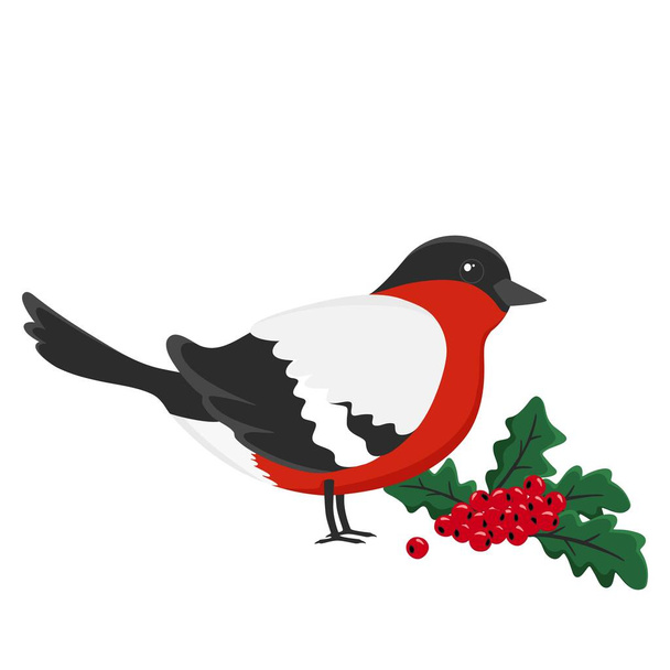 Hand drawn Christmas bullfinch and Christmas holly berries and leaves. Winter bird. Vector doodle sketch illustration isolated on white background. - Vektör, Görsel