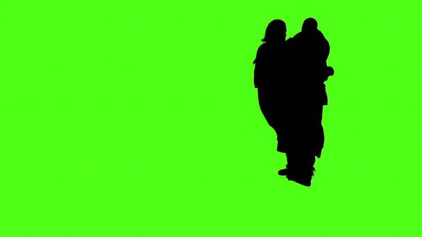 3d illustratie - silhouetten van mensen fysieke confrontatie op groen scherm - Foto, afbeelding