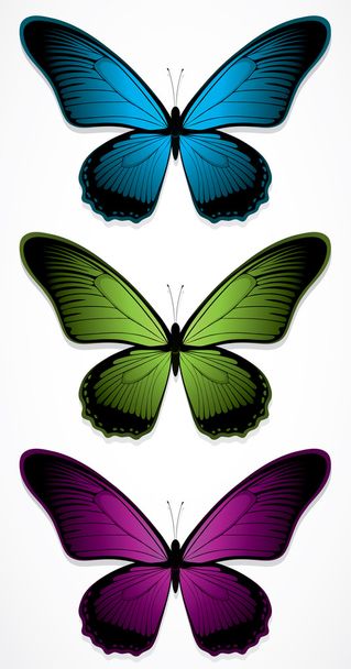 Butterfly - Διάνυσμα, εικόνα