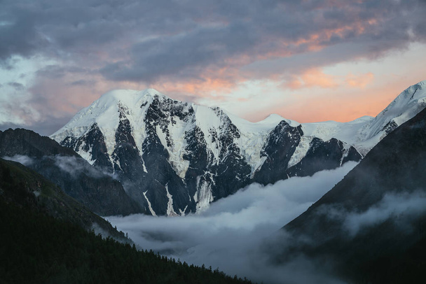 Atmosférická alpská krajina se siluetami stromů na pozadí velkých zasněžených hor a nízkých mraků v údolí pod fialově oranžovou ranní oblačností. Úžasný západ slunce nebo východ slunce horské scenérie. - Fotografie, Obrázek