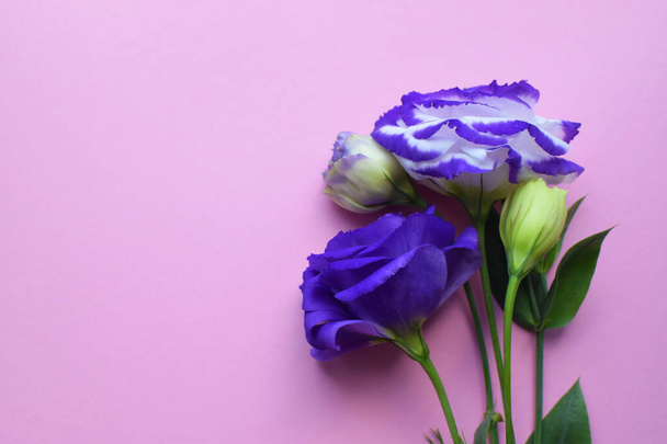 Beautiful purple and white eustoma flowers (lisianthus) in full bloom with green leaves. Bouquet of flowers on a pink background - Fotografie, Obrázek