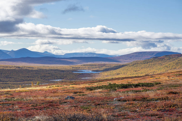 Ζωντανό τοπίο φθινόπωρο στην απομακρυσμένη έρημο της αρκτικής Pieljekaise Εθνικό Πάρκο - Φωτογραφία, εικόνα