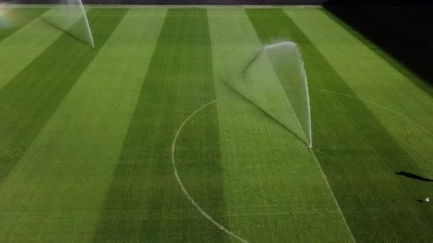 プロサッカーゲーム、芝生のケア、サッカーの試合の概念の前に草の灌漑の前にサッカー場に水をやる。4k高品質映画の博士映像  - 映像、動画