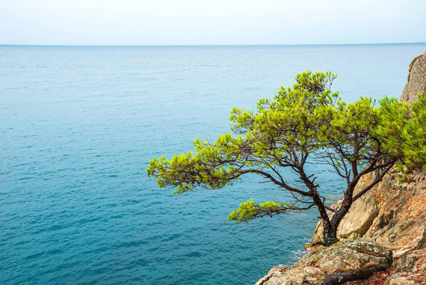 Tossa De Mar, Katalonya, İspanya. Güzel plajları ve temiz turkuaz suları olan görkemli Costa Brava kıyıları. - Fotoğraf, Görsel