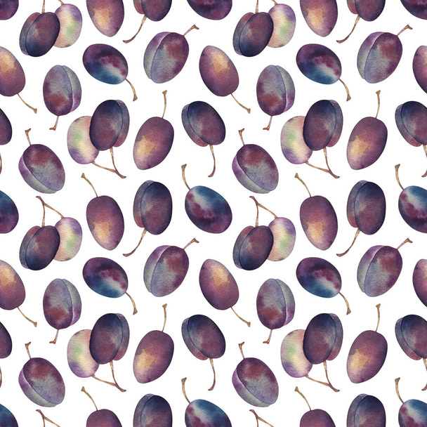 Watercolor Plums seamless pattern. Hand drawn botanical illustrations. Sketch with purple fruits. Isolated on white background. For linens, linen, wrapping paper, wallpaper, textile - Foto, Imagen