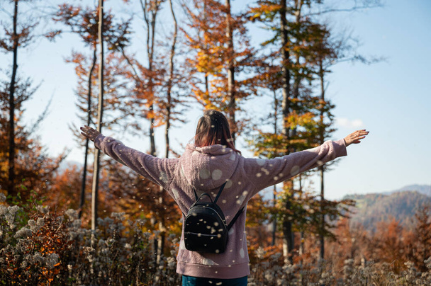 Άποψη από πίσω από μια νεαρή γυναίκα στέκεται στην όμορφη πολύχρωμη φθινοπωρινή φύση απολαμβάνοντας τη ζωή με τα χέρια της εξαπλωθεί ευρέως. - Φωτογραφία, εικόνα