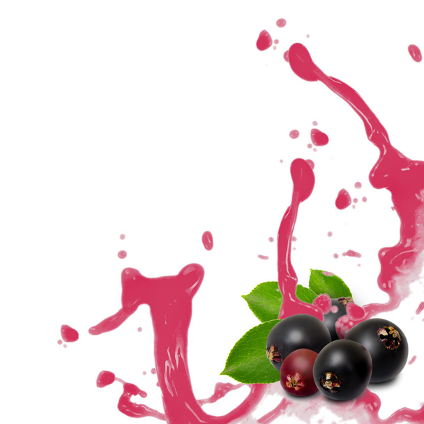 Elderberry splash - Foto, Bild
