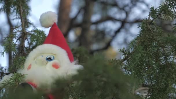 De pijnboom met de speelgoedelf pop in Rovaniemi Finland.4k - Video