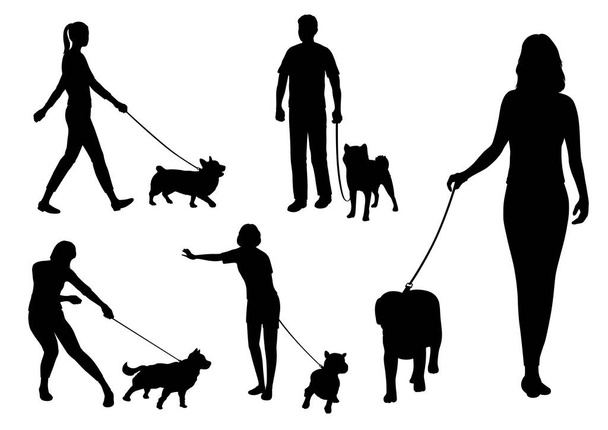 Набір собак ходить зі своїми домашніми тваринами на повідцях. Вектор силует ілюстрація ізольовані на білому тлі
. - Вектор, зображення