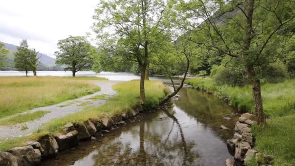 потік призводить до озера buttermere Англійська Озерному Камбрія Англії Великобританії у прекрасний сонячний літній день - Кадри, відео