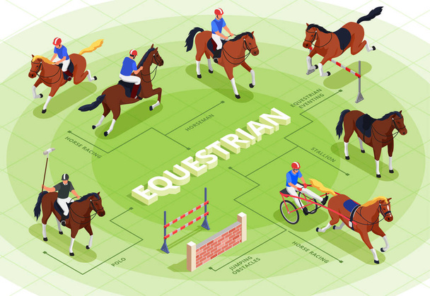 Fluxograma do desporto equestre - Vetor, Imagem
