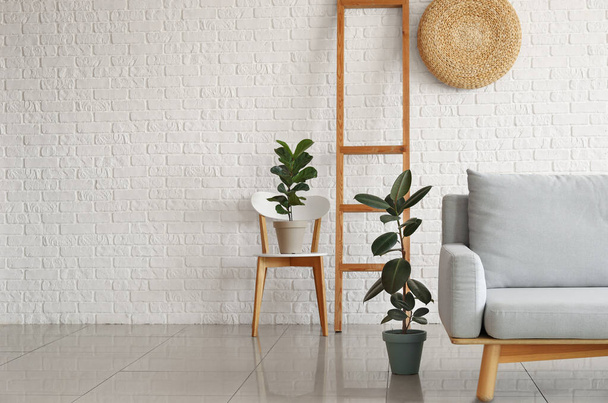 Диван и комнатные растения в современном стильном интерьере гостиной - Фото, изображение