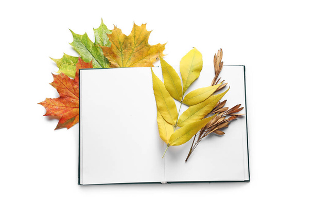 Открытая книга с осенними листьями на белом фоне - Фото, изображение