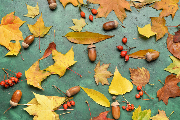 Jesienne liście, jagody i żołędzie na kolorowym tle, zbliżenie - Zdjęcie, obraz