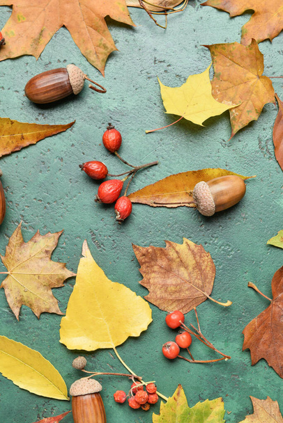 Autumn leaves, berries and acorns on color background, closeup - Фото, изображение