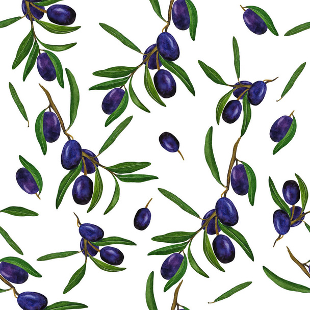 Blue olives on a branch with leaves. Seamless watercolor background - 写真・画像