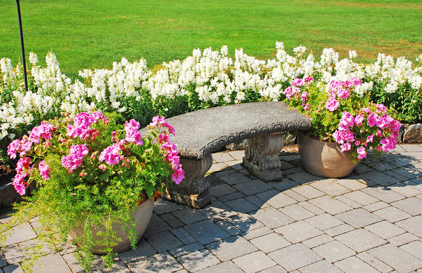 patio in de tuin in bloei - Foto, afbeelding