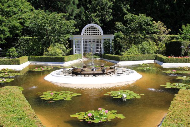 fontein in de tuin - Foto, afbeelding