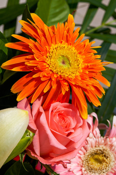 Nahaufnahme bunter Chrysanthemen in festlichem Blumenkorb - Foto, Bild