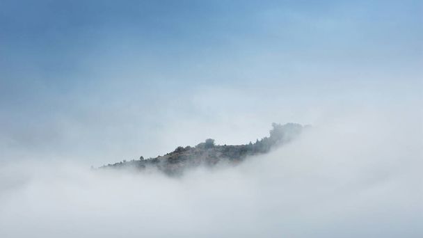Morgens Nebelschwaden über einem herbstlichen Wald. - Foto, Bild