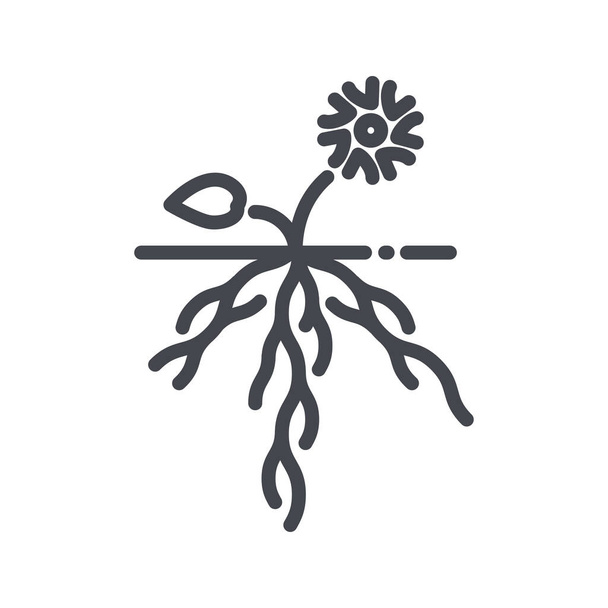 Vektorová rostlina s ikonou kořenové čáry izolovaná na průhledném pozadí. - Vektor, obrázek