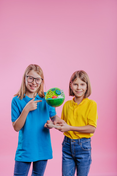 Two schoolchildren holding their scientific project DIY cell model on pink background with blank space for text - Foto, imagen