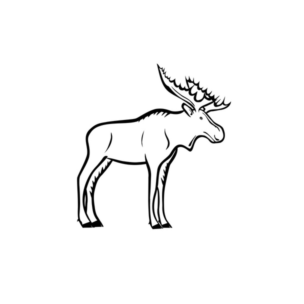 Moose - Вектор,изображение