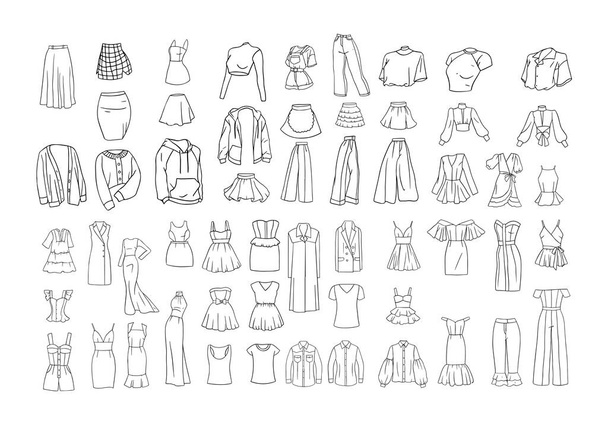 Collection of sketches of women's clothing. Illustrations of outerwear in a linear style. - Wektor, obraz