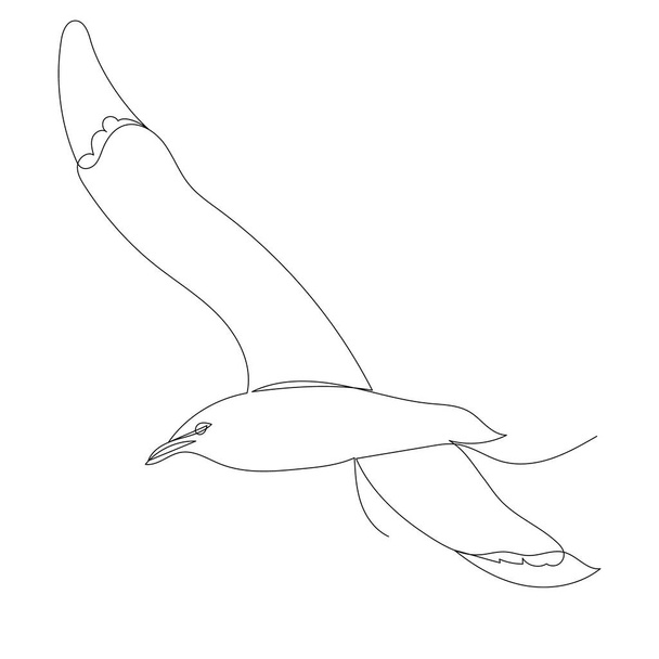 seagull drawing one continuous line vector, isolated - Вектор, зображення