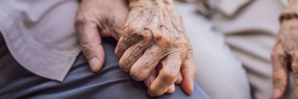 BANNER, LONG FORMAT Elderly couple holding hands with love. Hand of an elderly woman holding the hand of an elderly man - Photo, Image