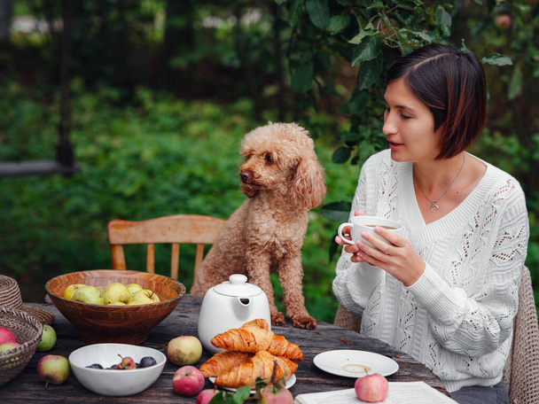 femme petit déjeuner dans le jardin avec son fidèle caniche animal de compagnie. - Photo, image