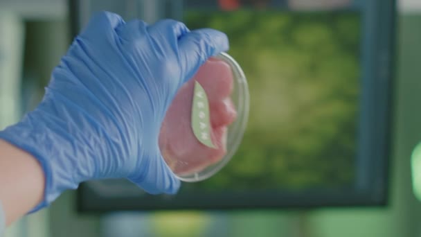 Vídeo vertical: Primer plano de la mujer científica sosteniendo en las manos placa Petri con carne de res vegana - Imágenes, Vídeo
